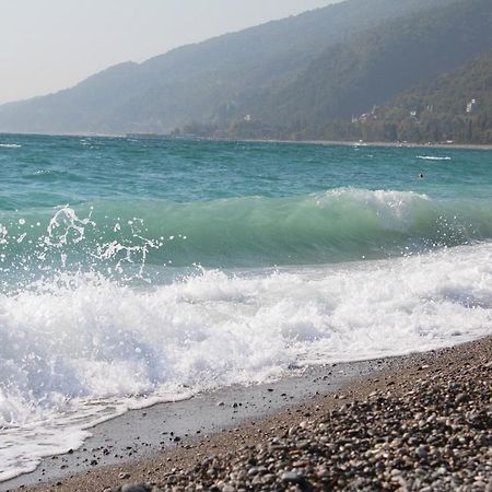 Mamzyshkha Guest House Gagra Exterior photo